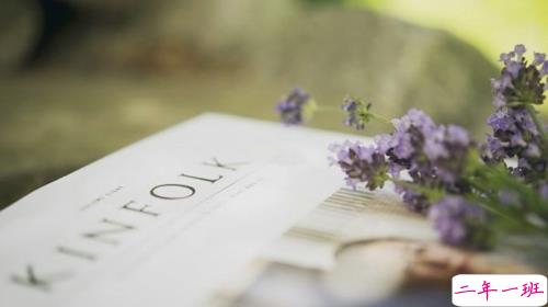 生活很现实的说说经典句子 多些付出少些期待2