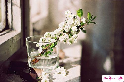 最新朋友圈经典说说2019精选 好听的微信经典说说1