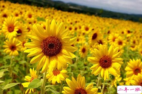 人生感悟说说剪短一点的 经历成长的经典说说合集1