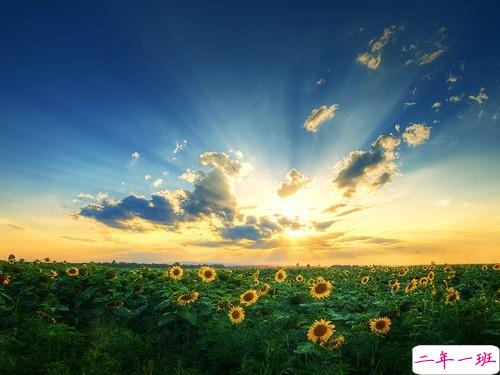 人生感悟说说剪短一点的 经历成长的经典说说合集2