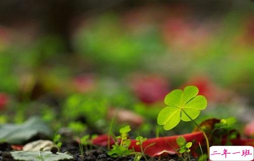 2019年元旦倒计时说说心情短语 元旦发微信朋友圈的经典说说2