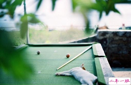 2019猪年除夕祝福语说说简短 致所有人的猪年暖心祝福2