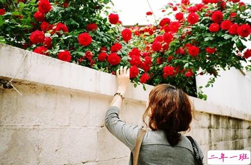 2019再见一月你好二月微信说说大全 最新励志说说散发正能量1