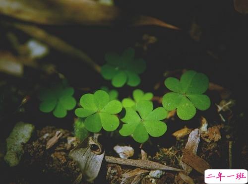 曾帮你度过艰难日子的一句话说说 超级励志给人力量的个性说说1