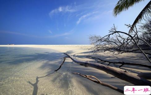 和前任说再见适合发朋友圈的一句话说说 告别前任的句子说说大全1