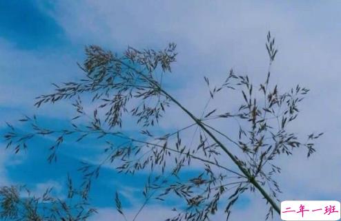 和前任说再见适合发朋友圈的一句话说说 告别前任的句子说说大全3