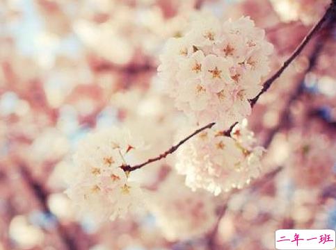 值得记忆的唯美经典说说 恣意便是对自己最大的疼惜2