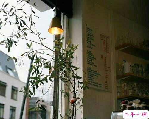 正能量励志人生感悟说说 不管生活多么艰辛你要把它当成一场梦1