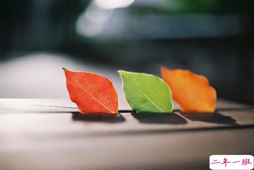 短短的一句话但又有很浓的生活哲理说说 良言一句三冬暖恶语伤人六月寒1