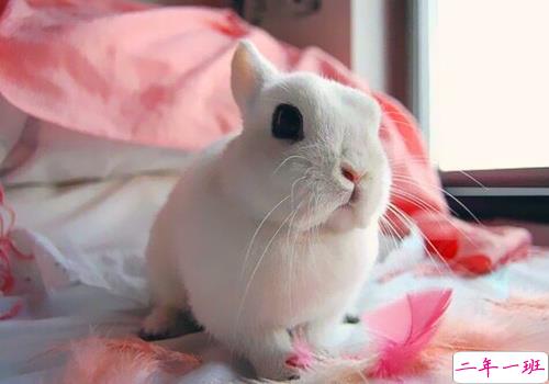 酷到爆炸的说说2018 不爱我请允许我怼死你1