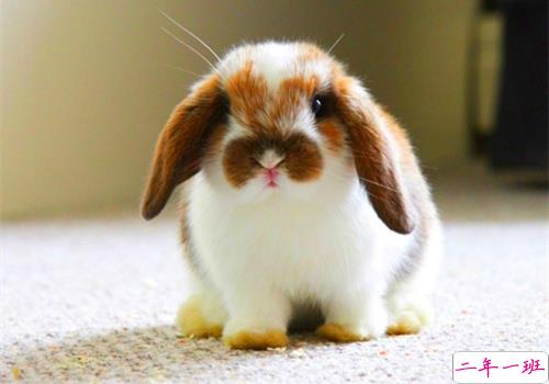 酷到爆炸的说说2018 不爱我请允许我怼死你2