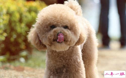 酷到爆炸的说说2018 不爱我请允许我怼死你3