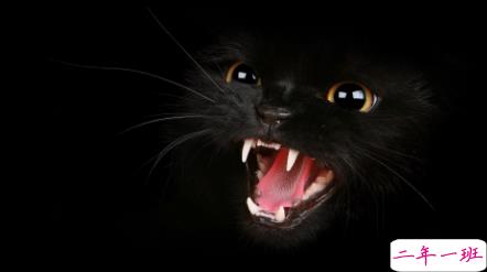 别把自己想的太伟大,没了你,地球照样转2