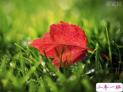 2018个性说说,2018个性签名 2018个性说说,2018个性签名