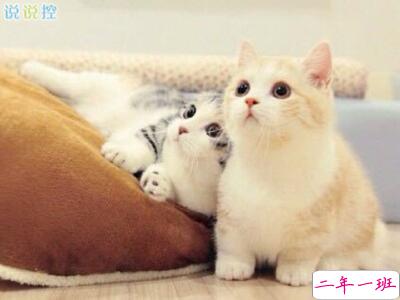 微信个性说说心情,微信个性说说2018 微信个性说说心情,微信个性说说2018