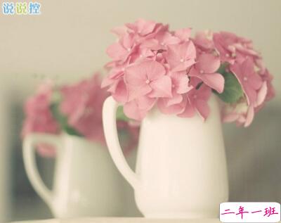 个性说说唯美,个性唯美句子 个性说说唯美,个性唯美句子