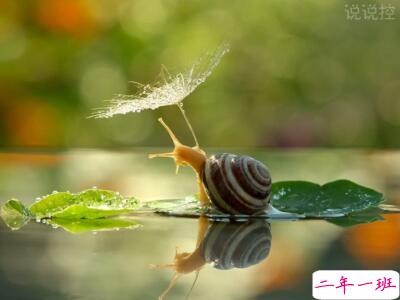 QQ个性说说 QQ个性说说