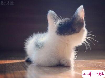 最有个性的说说,非常个性的说说 最有个性的说说,非常个性的说说