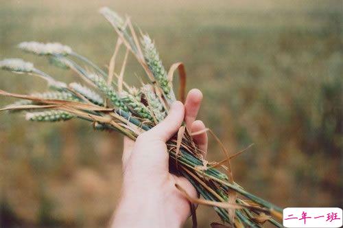 关于生活的很现实简单的句子 此去前程你我都别回头1