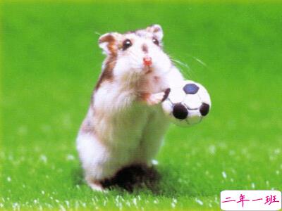 QQ空间个性说说 QQ空间个性说说