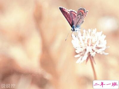 个性文字控说说 个性文字控说说