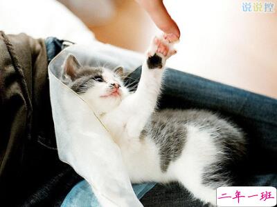 2016个性说说最新版 2016个性说说最新版