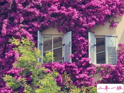 文艺好听的唯美说说 文艺好听的唯美说说