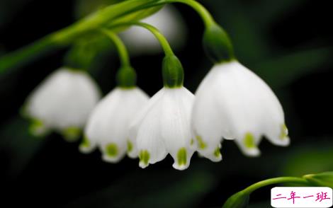 2018微商说说语录经典 朋友圈微商说说激励人的1