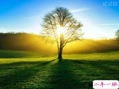 最精辟最火的句子1 最精辟最火的句子1