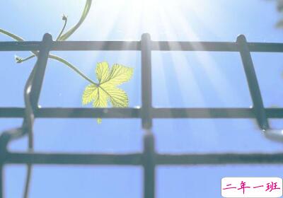 关于青春的经典语录,追忆青春的经典句子2 关于青春的经典语录,追忆青春的经典句子2