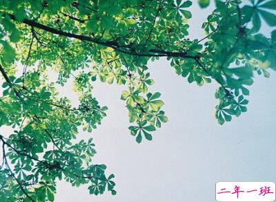 经典个性语句2 经典个性语句2