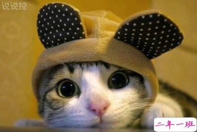 关于天气冷的说说,天凉了的说说 关于天气冷的说说,天凉了的说说