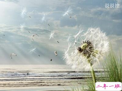 超拽说说大全2 超拽说说大全2