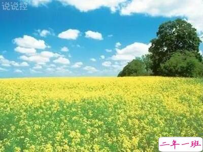 最新经典长说说,经典长说说大全 最新经典长说说,经典长说说大全