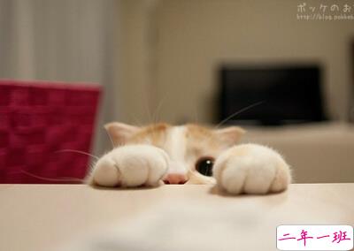 比较短的说说大全2