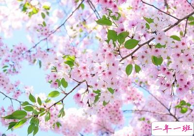 感悟人生经典说说 感悟人生经典说说