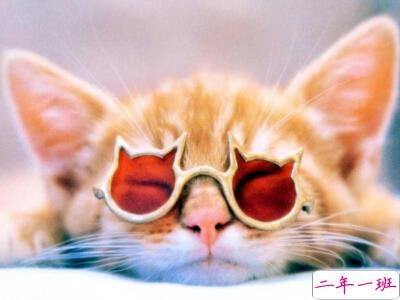 QQ空间一句话说说 QQ空间一句话说说