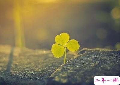 时尚潮流的说说:原来,错过的不止是青春,还有你