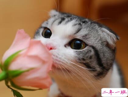 微信哲理说说文字 微信哲理说说文字