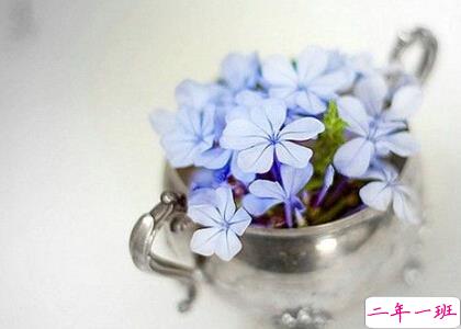 好听的英文说说心情短语带翻译 好听的英文说说心情短语带翻译