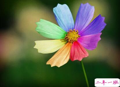 经典的句子说说心情 经典的句子说说心情