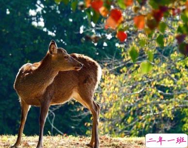 九月再见十月你好 你所期待的正在一步步靠近你2