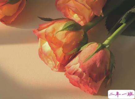 一个人熬过了所有的说说伤感 愿生活会变成我想要的样子1