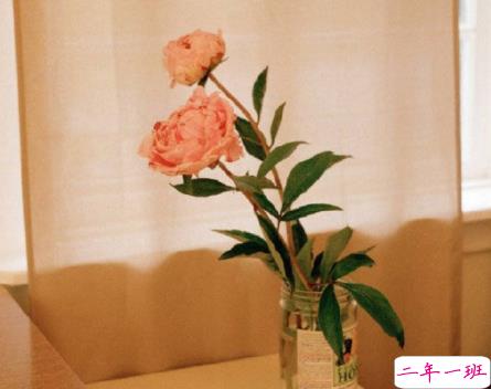 看透了一切伤感说说心累 最怕深交后的陌生2