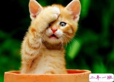 关于考试的经典说说:本想借这次考试咸鱼翻身,没想到粘锅了1