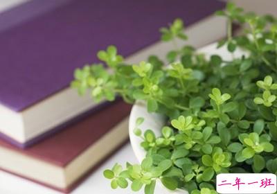 很好的说说加图片7