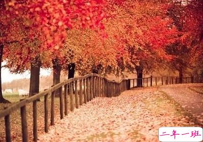 很好的说说加图片9