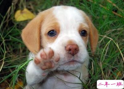 我们总是把最宽容的样子留给别人,却把最恶毒、最伤人的话留给了自己最亲的人