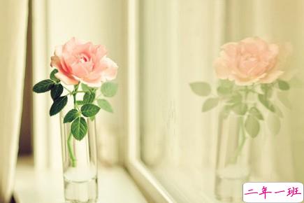 打动人心的QQ说说:有多少我爱你,最后成了对不起