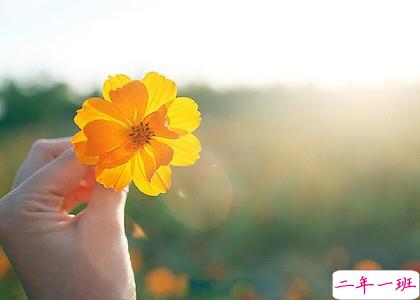 打动人的话:有些事注定成为故事,有些人注定成为故人